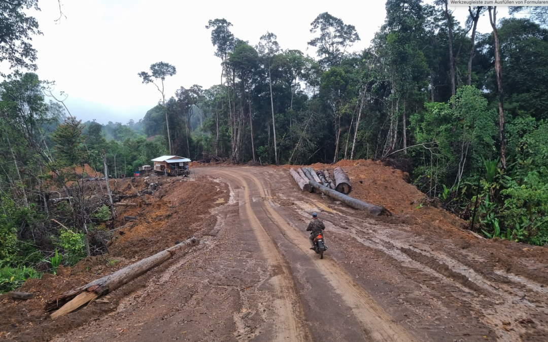 Japan: Immediately Halt Funding for ITTO Projects in Sarawak