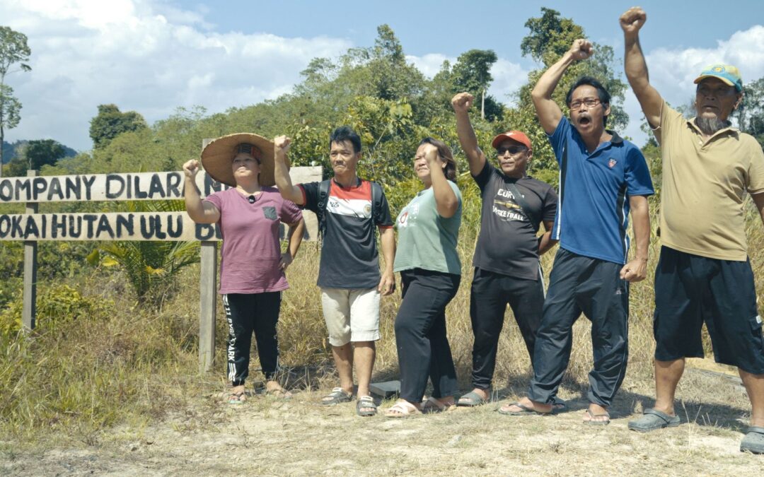 Victory for Indigenous Communities in Sarawak as Urun Plantations Halts Forest Clearing