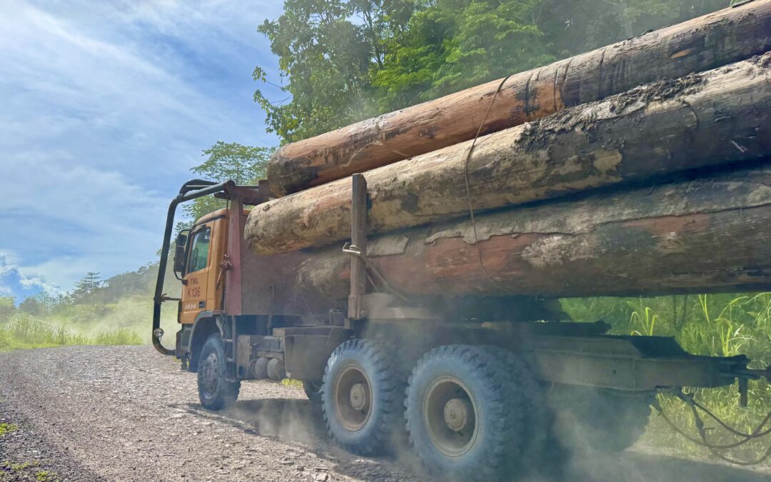 Malaysian Authorities Halt Human Rights Investigation at Borneo Logging Hotspot