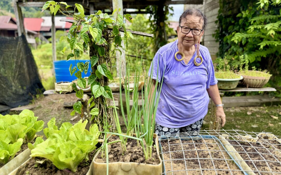 Why UPOV 91 is Bad for Indigenous Rights in Sarawak