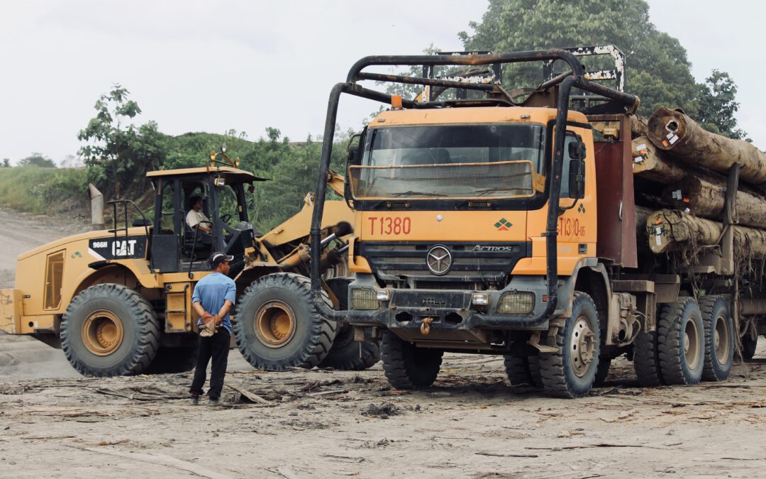 Lost in certification: new report slams Malaysian timber greenwashing