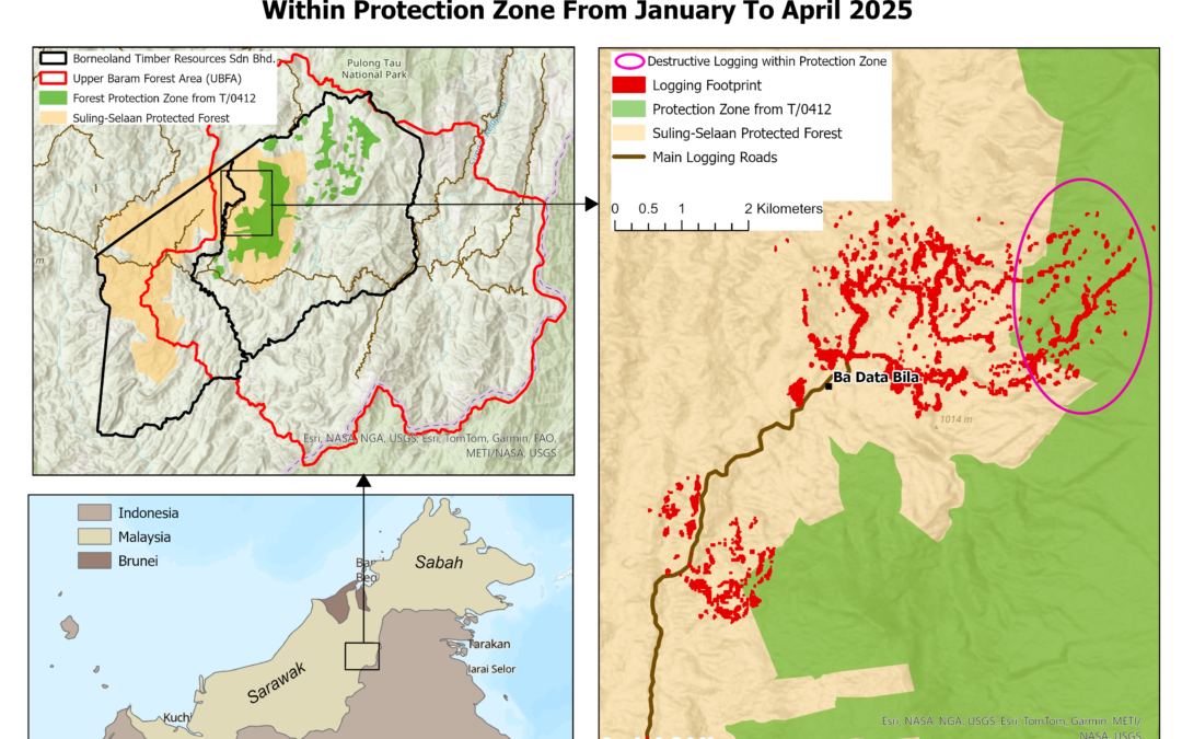 Switzerland to quit International Tropical Timber Organization 