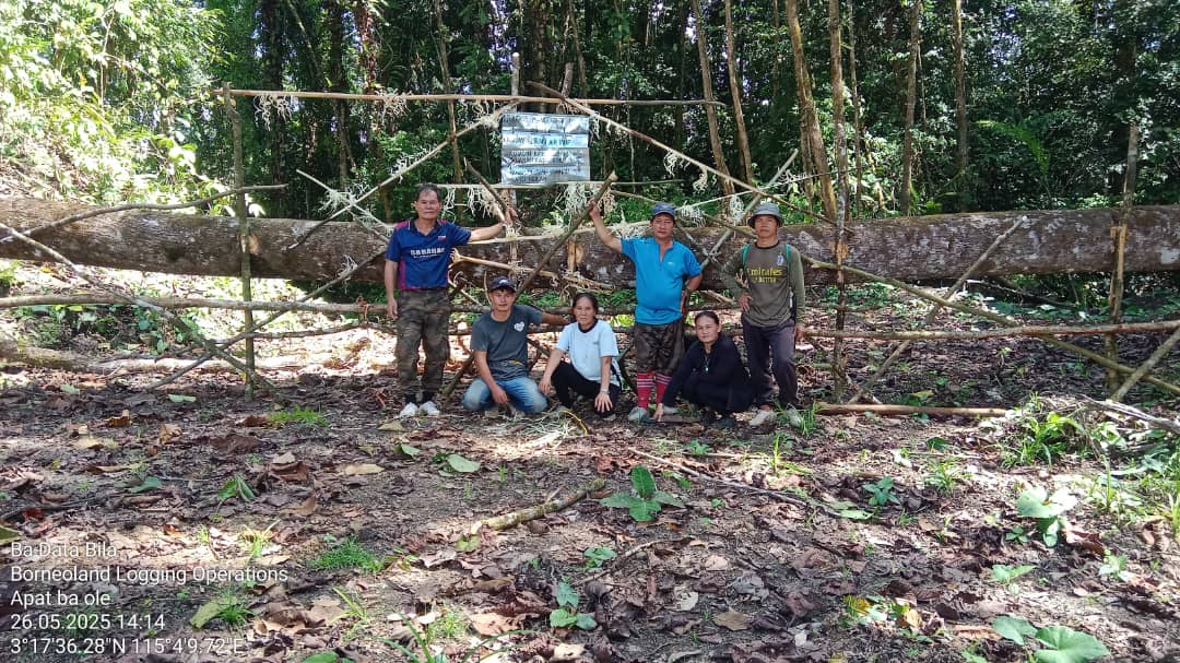 Logging Conflict Escalates in Sarawak as Penan Take a Stand