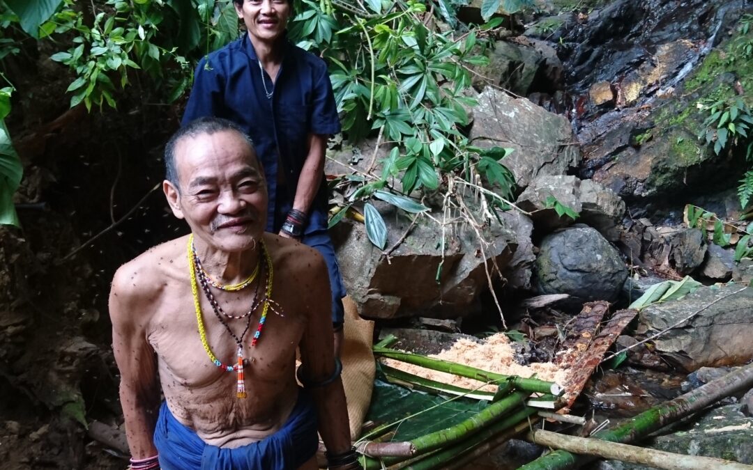 Last Penan nomads want to liberate their territories from logging