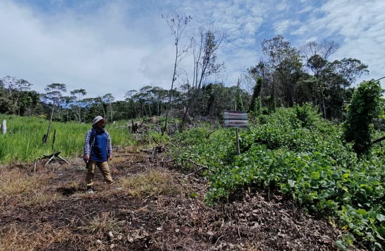 Long Semiyang Lodges Police Report against Borneoland Timber