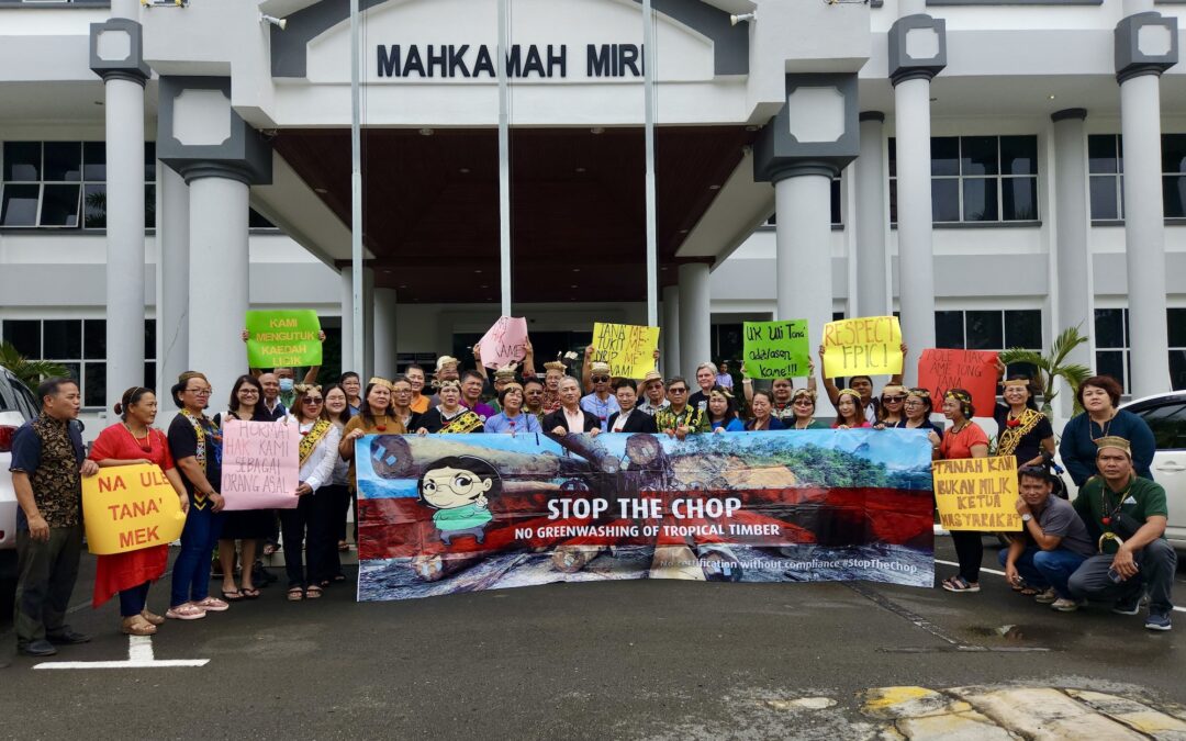Timber giant Samling withdraws lawsuit against Indigenous forest defenders