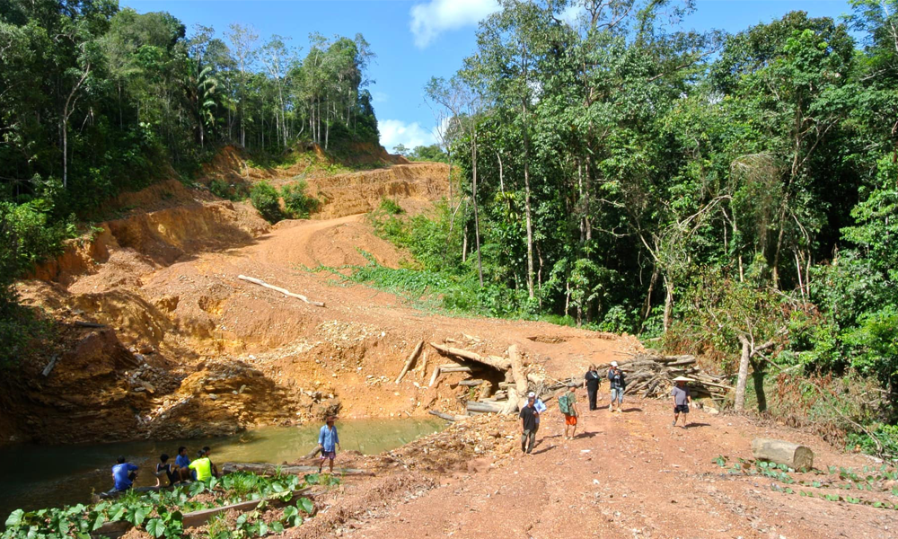 EU urged to designate Sarawak as ‘high risk‘ under anti-deforestation law